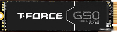 Team T-Force G50 512GB TM8FFE512G0C129 