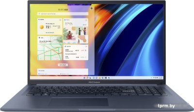 Ноутбук ASUS VivoBook 17 X1702ZA-BX118 