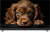 Topdevice 55" QLED DQ08 Topdevice 55" QLED DQ08