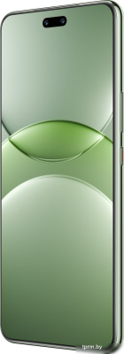 Смартфон Huawei nova 13 Pro MIS-LX9 12GB/512GB (дымчатый зеленый) 