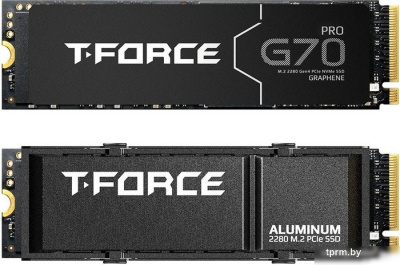 SSD Team G70 Pro 1TB TM8FFH001T0C128 