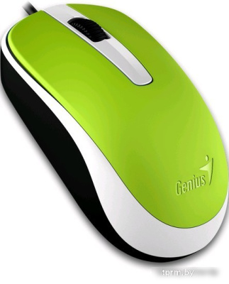 Мышь Genius DX-120 (зеленый) 