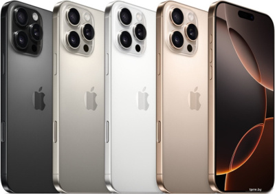 Смартфон Apple iPhone 16 Pro Max 256GB (черный титан) 