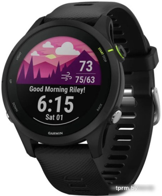 Умные часы Garmin Forerunner 255 Music 46 мм (черный) 