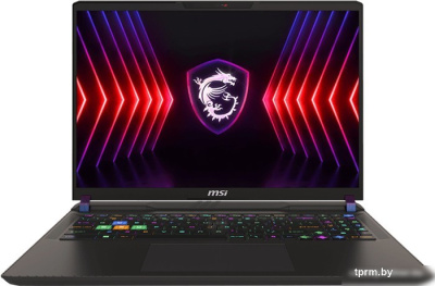 Игровой ноутбук MSI Vector 16 HX A14VGG-283RU 