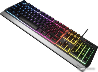 Клавиатура Genesis Rhod 300 RGB 