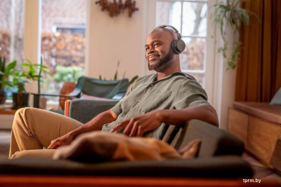 Наушники Philips TAH4209 (черный) 