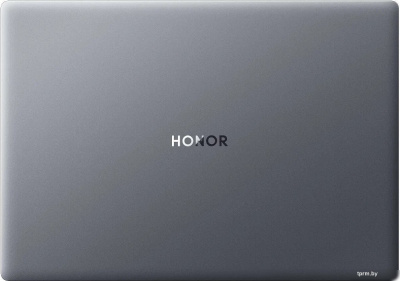 Ноутбук HONOR MagicBook X16 2024 BRN-H56 5301AJYD 