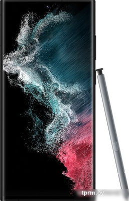 Смартфон Samsung Galaxy S22 Ultra 5G SM-S908B/DS 12GB/512GB (графитовый) 