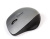 Мышь SmartBuy 309AG Silver/Black (SBM-309AG-SK) Мышь SmartBuy 309AG Silver/Black (SBM-309AG-SK)