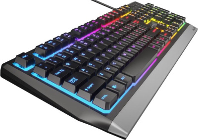 Клавиатура Genesis Rhod 300 RGB 