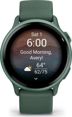 Умные часы Garmin Vivoactive 6 (зеленая яшма) 