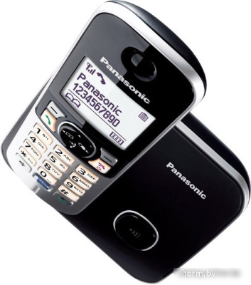 Радиотелефон Panasonic KX-TG6811RUB 