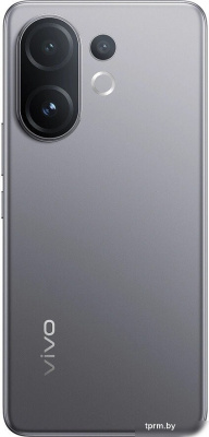 Телефон Vivo V60 12GB/512GB международная версия (туманный серый) 
