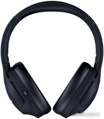 Наушники Canyon OnRiff 10 (черный) 