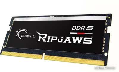 G.Skill Ripjaws 16ГБ DDR5 SODIMM 4800МГц F5-4800S4039A16GX1-RS 