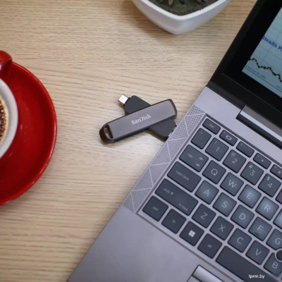 SanDisk Extreme PRO Dual Drive USB Type-C/Type-A 1TB SDDDE1-1T00-G46 