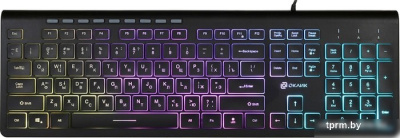 Клавиатура Oklick 490ML (черный) 