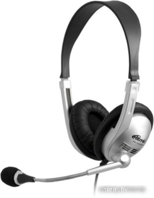 Наушники Ritmix RH-533 USB (серебристый) 