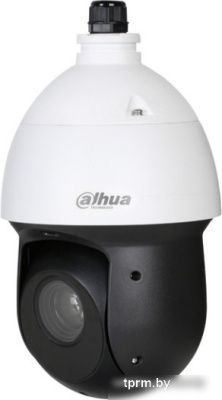 IP-камера Dahua DH-SD49425XB-HNR-S3 