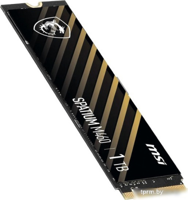 SSD MSI Spatium M460 1TB S78-440L930-P83 