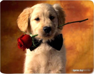 Коврик для мыши Buro BU-M40089 