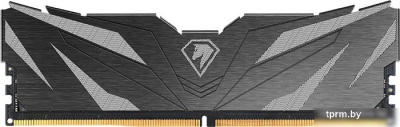 Оперативная память Netac Shadow II 16ГБ DDR5 4800 МГц NTSWD5P48SP-16K 