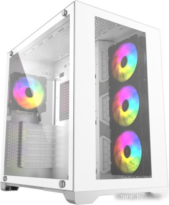 Powercase Vision CVWA-L4 