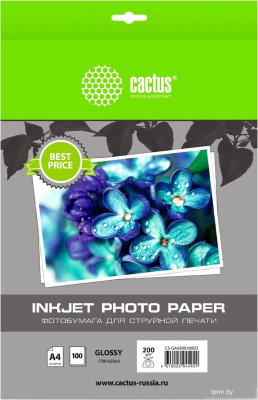 CACTUS Глянцевая A4 200 г/м2 100 листов CS-GA4200100ED 