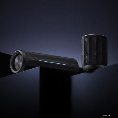 Беспроводная колонка Xiaomi Bluetooth Speaker Mini ASM01G (черный, международная версия) 