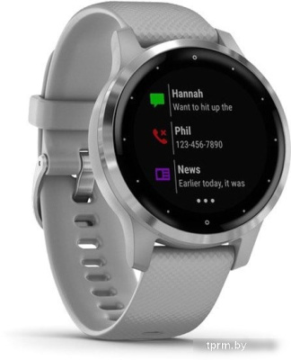 Умные часы Garmin Vivoactive 4s (серый/серебристый) 