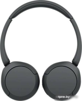 Наушники Sony WH-CH520 (черный) 
