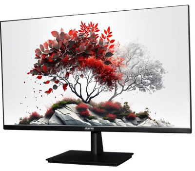 Монитор RDW Computers RDW2701K (черный) 