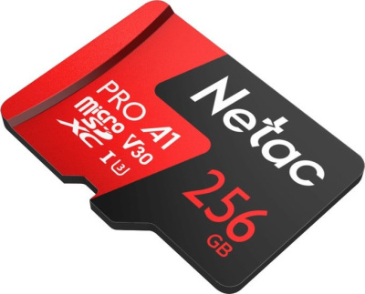 Карта памяти Netac P500 Extreme Pro 256GB NT02P500PRO-256G-S 