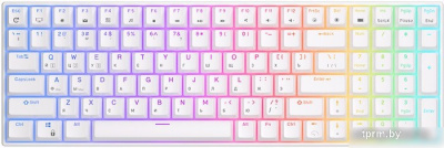 Клавиатура Royal Kludge RK100 RGB (белый, RK Red) 