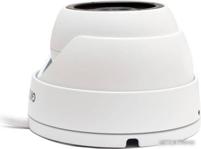 IP-камера Ginzzu HID-5301A 