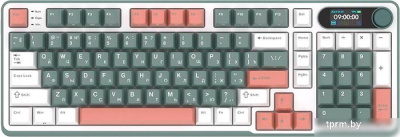 Клавиатура Royal Kludge RK-S98 RGB Camping (RK Chartreuse) 