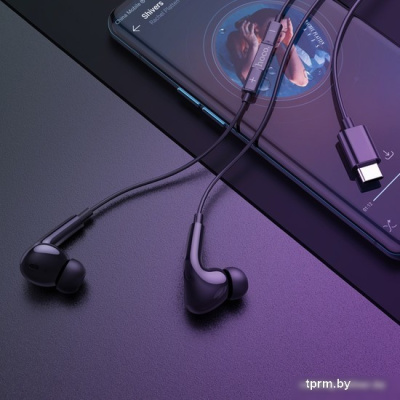 Наушники Hoco M101 Pro USB Type-C (черный) 