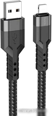 Кабель Hoco U110 USB Type-A - Lightning (1.2 м, черный) 