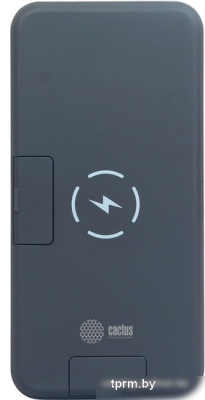 CACTUS CS-PBFSQT-10000 (черный) 