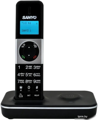 Sanyo RA-SD1002RUS 