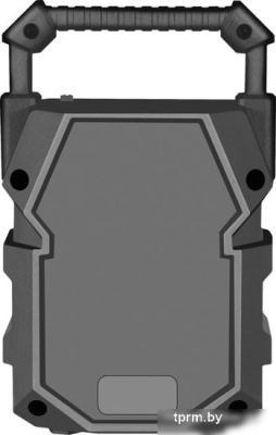 Беспроводная колонка Defender G98 