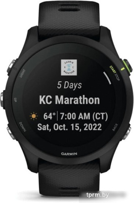 Умные часы Garmin Forerunner 255 Music 46 мм (черный) 