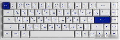 Клавиатура Akko 3068B Plus White & Blue (Akko CS Jelly Pink) 