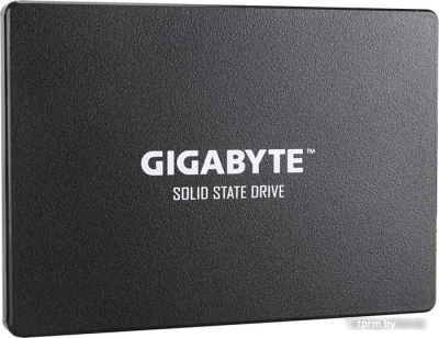 SSD Gigabyte 256GB GP-GSTFS31256GTND 