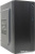 Filum T05 Filum T05