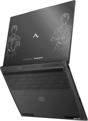 Ноутбук Maibenben X16B (X16B-R98956GQSHBRE3) 