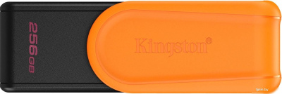 Kingston DataTraveler Exodia S 256GB DTXS/256GB 