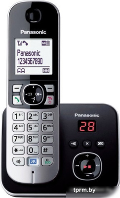 Радиотелефон Panasonic KX-TG6821 