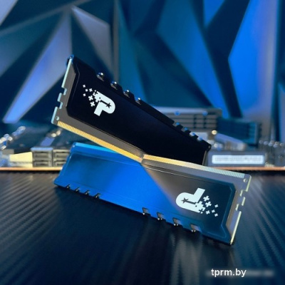 Patriot Signature Premium Line 2x16ГБ DDR5 5600 МГц PSP532G5600KH1 